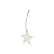 STAR  +