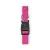 FUCHSIA  +