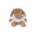 Teddy - Chamox