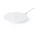 WHITE  +