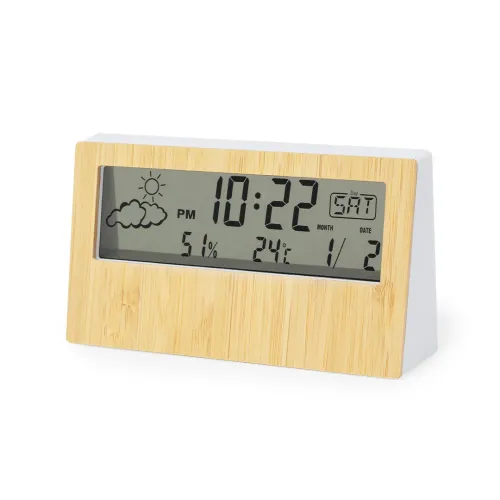 Weather Station - Roamer