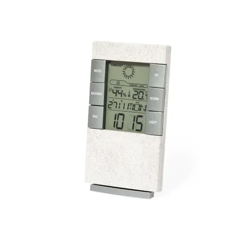 Weather Station - Maginly