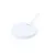 WHITE  +