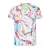 Area 6 (10×6cm)  +