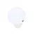 WHITE  +