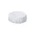 WHITE  +