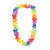 RAINBOW  +