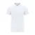WHITE  +
