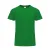 GREEN  +