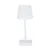 WHITE  +
