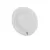 WHITE  +