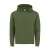 GREEN BOTTLE  +