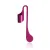 FUCHSIA  +