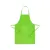LIGHT GREEN  +