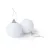 WHITE  +