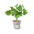 Planter 2 (2.2×2.5cm)  +