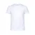 WHITE  +