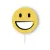 SMILE  +