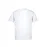Adult White T-Shirt 