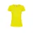 Women Colour T-Shirt 