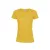 GOLDEN  +