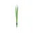 GREEN  +