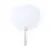 WHITE  +