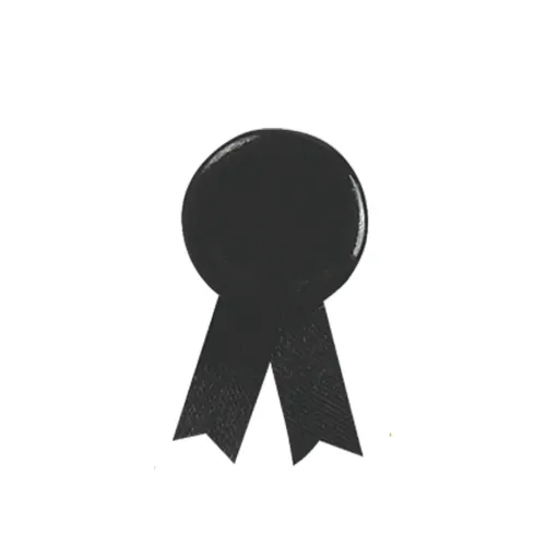 Pin Loop - Solidario